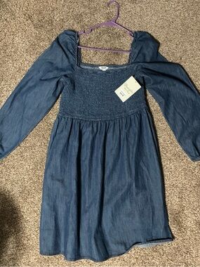 Smocked Denim Long-Sleeve Dress - Blue